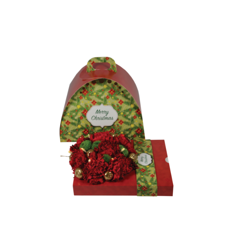 Floxi OASIS® boite cadeau noël