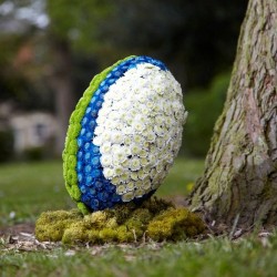 Ballon de Rugby Fleuri Vert Blanc et Bleu