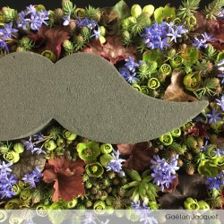 Moustache OASIS® RAINBOW® FOAM fleurie