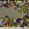 Moustache OASIS® RAINBOW® FOAM fleurie