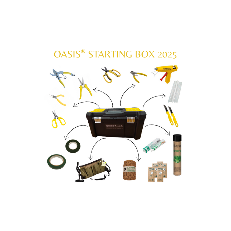 Détails de la caisse à outils Starting Box OASIS® EDITION 2025