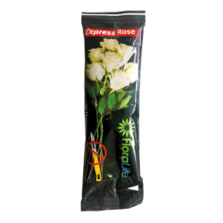 Sticks EXPRESS ROSES 300 FloraLife® pour 1L - boite de 250
