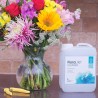 FloraLife® Cleaner