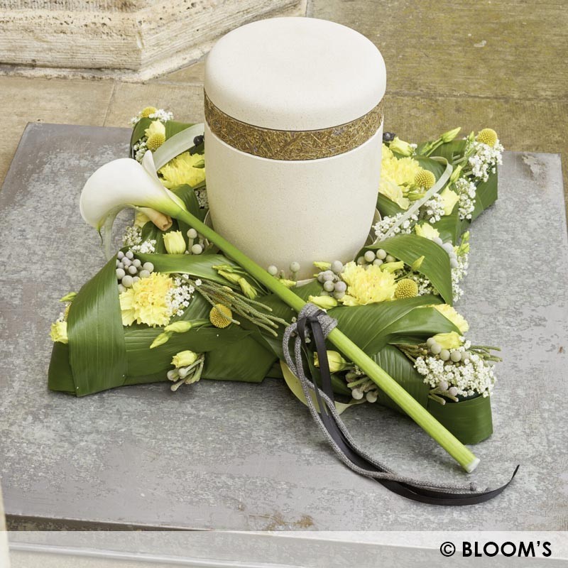 Garneck Insert Mousse Épaisse Pour Boîte à Bijoux Coussinet Insertion Support Éponge Pour Boucles Oreilles