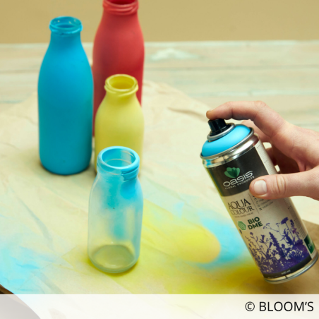 PROMO Sprays AQUA Colour OASIS®