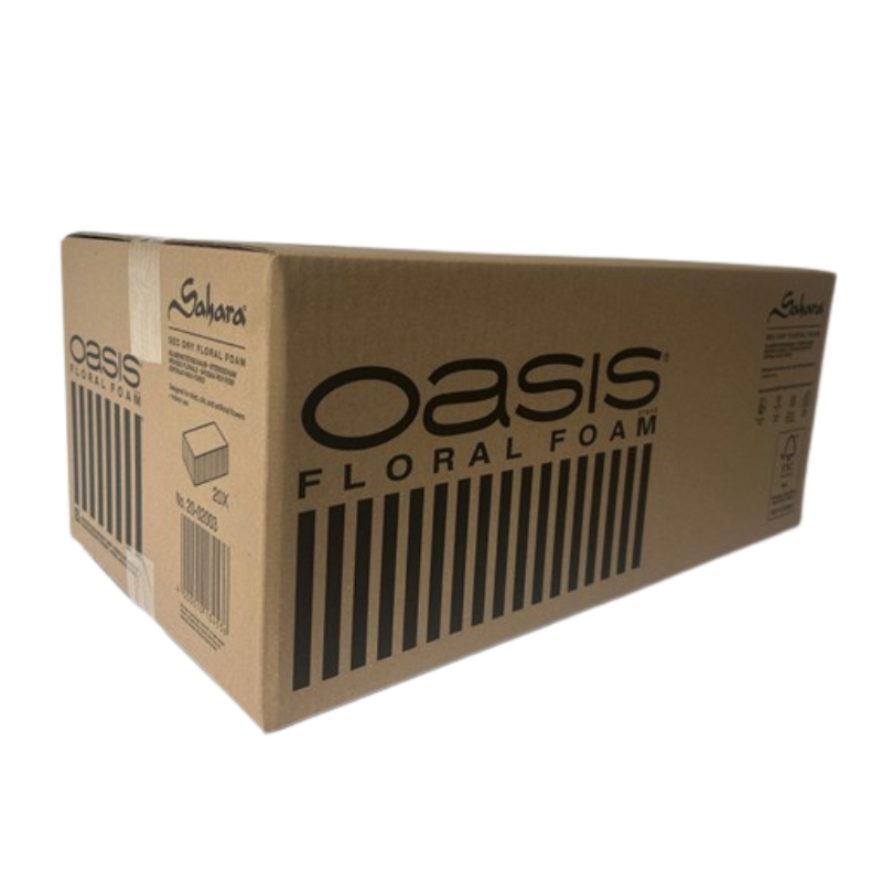 Carton de 20 briques OASIS® SAHARA®