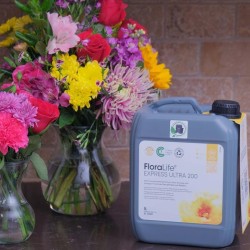 Nutriments pour fleurs en boutique