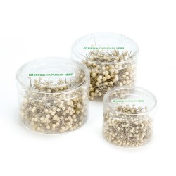 Epingles OASIS® 65 x ø 6 mm Ivoire - Grosse boite