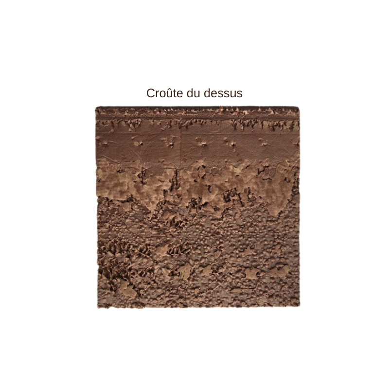 Plaque de Croûte dessus OASIS® RAINBOW FOAM