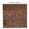 Plaque de Croûte dessus OASIS® RAINBOW FOAM