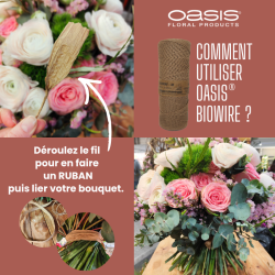 Biowire OASIS®