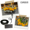 OASIS® Renewal® Floral Foam