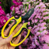 Secatciz et Fleurs