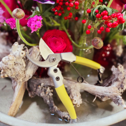 Sécateur et Fleurs