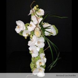 Auto-corso Coeur ventouse +...