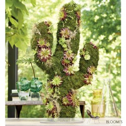 Cactus 3D BIOLINE® OASIS® BLACK IDEAL création