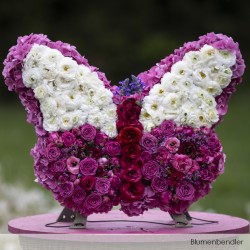 Papillon OASIS® BIOLINE® fleurie