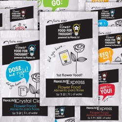 Sachets FFFT Express 300 FloraLife® 10 GR