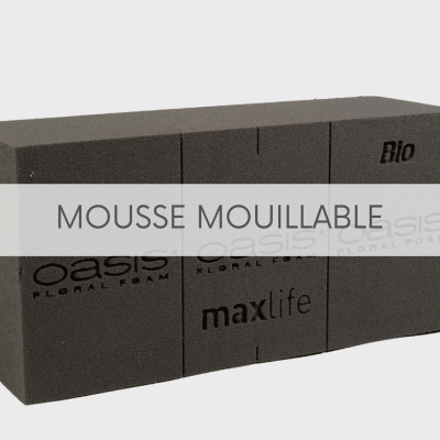 MOUSSE MOUILLABLE