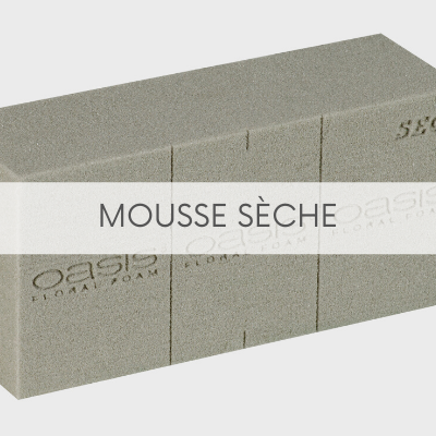 MOUSSE SECHE