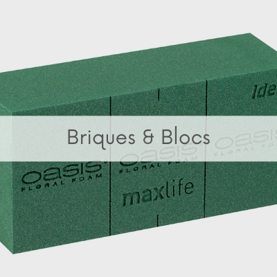 Briques & Blocs