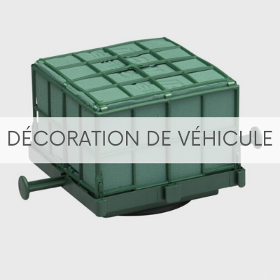 Décoration de véhicule