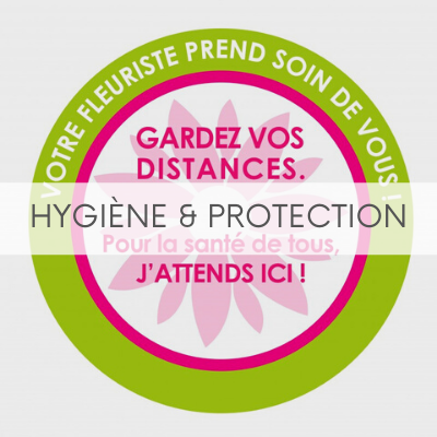 HYGIENE & PROTECTION