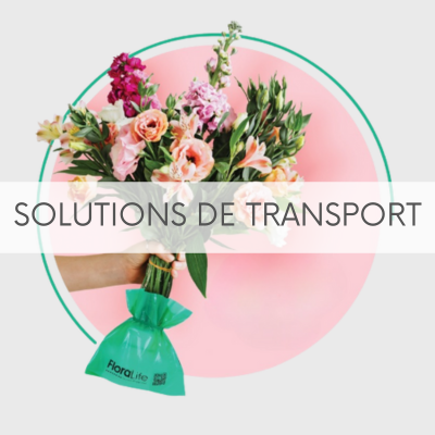 Solution de Transport