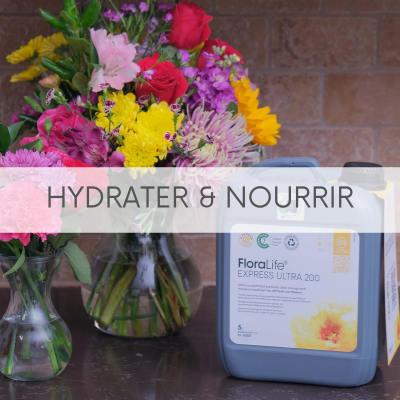 Hydrater & Nourrir
