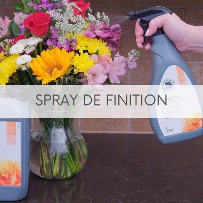 Spray de finition