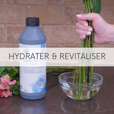 Hydrater & Revitaliser
